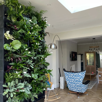 Người xưa dặn: 3 cây nặng âm khí, không nên trồng trong nhà