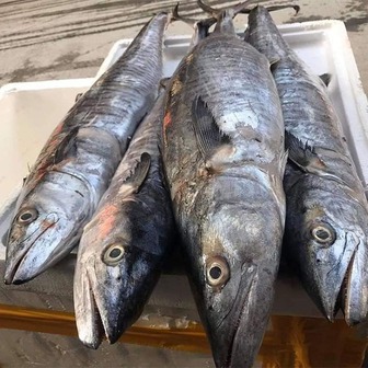 4 loại cá chứa nhiều thủy ngân