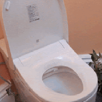 Sau 1 năm dùng bồn cầu thông minh, tôi hiểu vì sao có nhà khen hết lời, có nhà lại hối hận tràn ngập