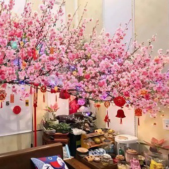 Miền Bắc lúc này: Đào chưa kịp Tết đã bung hết hoa, cả cõi mạng xin nhau tips “hoãn lại cái sự xinh đẹp ấy”