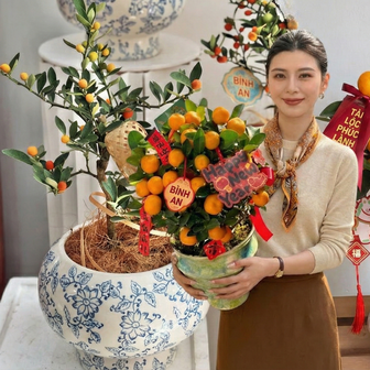 Chưa rinh chậu quất này coi như Tết vơi đi một nửa: Nhỏ thôi nhưng "gánh" trọn không khí xuân trong nhà