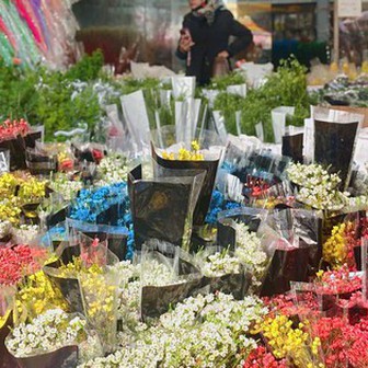 Cập nhật giá cả hoa ngày 28 Tết: Tuyết mai rẻ bất ngờ, cúc đẹp “đỉnh cao”, mộc lan trở thành hot trend