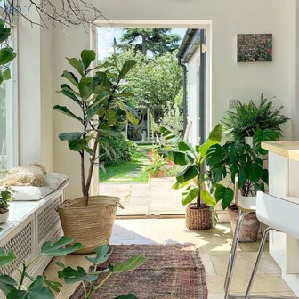 Ông bà nói: "Vận đến không ồn ào, nhưng sẽ có điềm báo" - 6 dấu hiệu cho biết nhà bạn có lộc trời ban