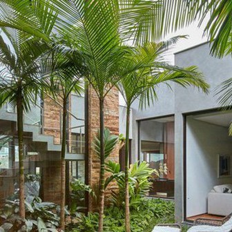 4 loại cây nên trồng trước cửa nhà: Vừa ‘trấn trạch’, vừa ‘hút’ tài lộc