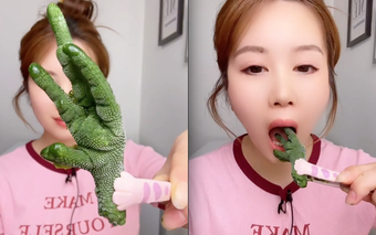 Cô gái ăn món "chân gà màu xanh" khác lạ khiến cư dân mạng hoang mang, sự thật phía sau càng bất ngờ hơn