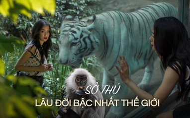 Việt Nam có 1 trong 10 sở thú lâu đời nhất thế giới, mỗi tháng thu ‘sương sương’ 800 triệu đồng nhờ điều này!