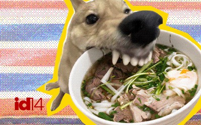 Nghệ thuật Comfort Food: Tại sao khi cô đơn, chúng ta lại thèm một bát phở nóng?