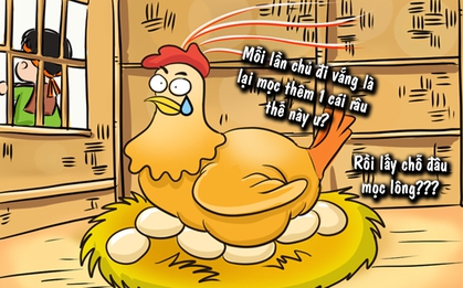 7 câu thành ngữ tục ngữ ai cũng quen dùng nhưng toàn bị sai