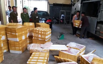 Xe tải chở 2,5 tấn lòng heo thối từ Huế ra Hà Nội tiêu thụ