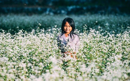 Ngắm mùa hoa tam giác mạch đẹp mê mải về ở Hà Giang