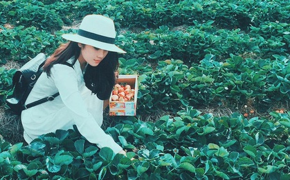 Đà Lạt tại sao mãi không hết hot với các bạn trẻ yêu du lịch?