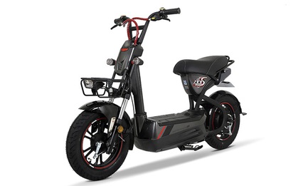 Xe điện 2016 Momentum 133S của GIANT giả đang tràn lan trên thị trường