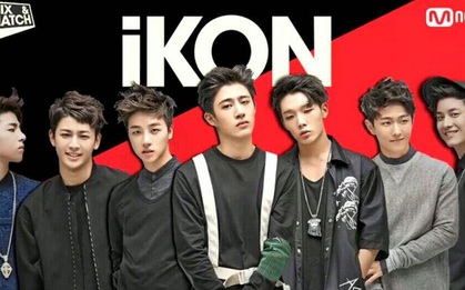 Những idolgroup "tưởng sẽ nổi mà sau lại xịt ngúm"