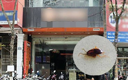 Hà Nội: Đi ăn lẩu nấm, khách tá hỏa phát hiện gián bơi trong nồi nước lẩu