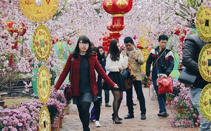 Người Hà Nội đội mưa đi chụp ảnh Tết, dịch vụ ăn theo được dịp "hốt bạc"