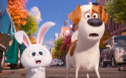 Illumination Entertainment: Hãng phim của những khoảnh khắc lóe sáng rực rỡ