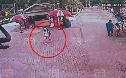 Tự ý tách đoàn, nữ du khách Trung Quốc mất tích trong trại hổ lớn nhất thế giới ở Thái Lan