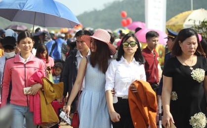 Hàng vạn người đổ về cánh đồng hoa hướng dương: Từng đoàn xe nối dài cả cây số, di chuyển từng chút một