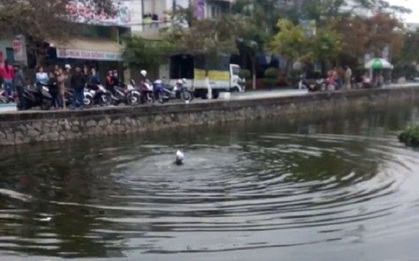 Hàng chục người đứng nhìn nam thanh niên chết đuối vì tưởng ngáo đá