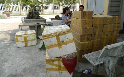 Bắt xe khách chở gần 2 tạ da thịt bốc mùi hôi thối