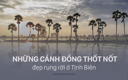 13 trải nghiệm "vừa đẹp vừa ngon" chỉ có ở An Giang