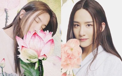 "Lương Sơn Bá Chúc Anh Đài" sẽ được chuyển thể thành phim đam mỹ