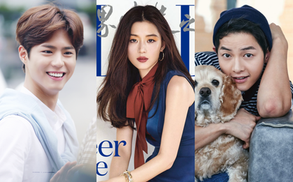 Park Bo Gum vượt mặt Song Joong Ki cùng loạt mỹ nam, mỹ nữ trong BXH danh tiếng