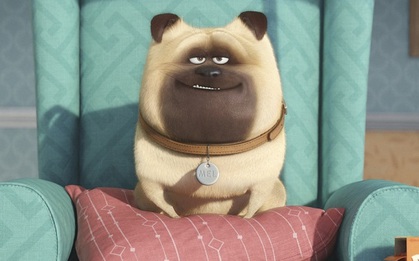 "The Secret Life of Pets 2" chính thức ấn định thời gian ra mắt