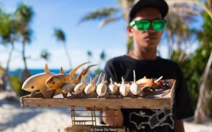 Nhờ có cá mập, đảo ngọc du lịch tại Philippines mới hồi sinh thần kì đến vậy