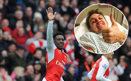 Fan Arsenal nhập viện vì ăn mừng bàn thắng của Welbeck