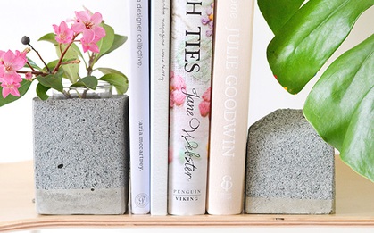 Bạn yêu hoa, thích đọc sách thì đừng bỏ lỡ bài này!