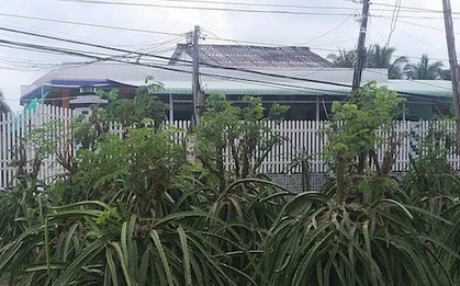 Ba mẹ con chết thảm do uống thuốc diệt cỏ
