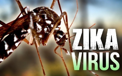 2' và tất tần tật điều cần biết về virus Zika