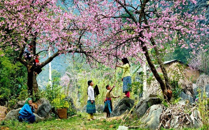 Du lịch Việt: Bao giờ mới hết điệp khúc "Chẳng biết chơi gì, đi đâu?"