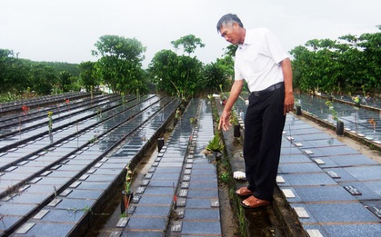 Nghẹn lòng câu chuyện về nghĩa trang đặc biệt của 7.000 hài nhi