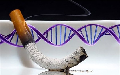 Tác hại kinh hoàng của thuốc lá đến gene lần đầu tiên được công bố