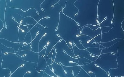 Phát hiện động trời: Nam giới nhiễm virus Zika có nguy cơ bị teo tinh hoàn tới 90%