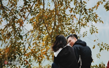 Ai nói Hà Nội không có mùa lá vàng, lá đỏ?