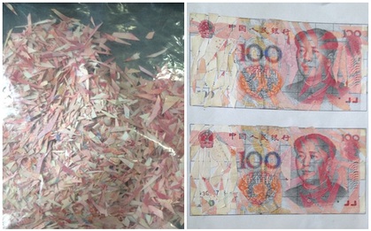 Cụ ông cắt vụn gần 500 triệu đồng, các con mất 3 tháng ghép lại từng tờ