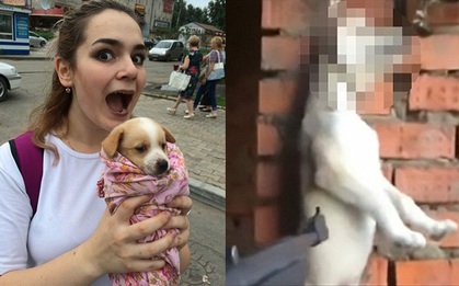 Cô gái tra tấn và giết hại chó mèo dã man rồi tung video lên Facebook câu like