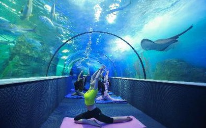 Trào lưu ngủ dưới đáy biển đã có mặt tại Việt Nam