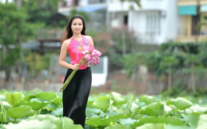 Ngỡ ngàng vẻ đẹp sen tại Thung lũng hoa Hồ Tây