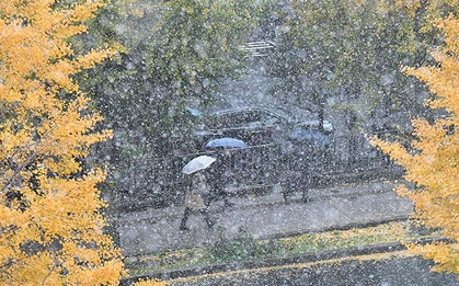 Ngắm nhìn Tokyo đẹp đến nao lòng dịp tuyết đầu mùa