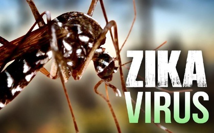 Những điều cần biết về virus Zika