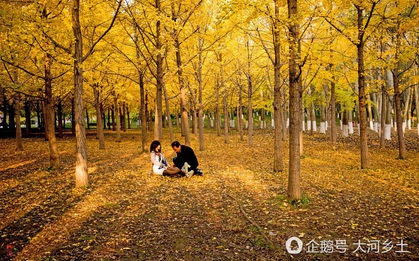 Thấy người đàn ông mờ ám, chụp hình cô gái trẻ trong rừng, nhiếp ảnh gia tiến lại hỏi mới biết được sự thật