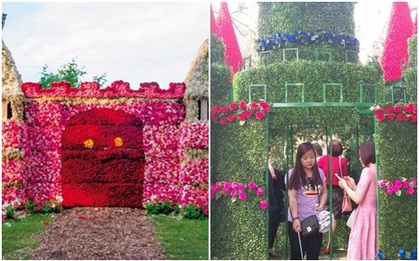 Thất vọng khi lễ hội hoa hồng Bulgaria ở Hà Nội khác xa quảng cáo, nhiều hoa giả và héo