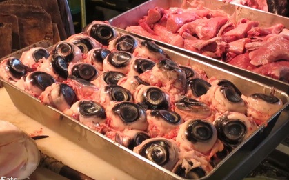 Mắt cá ngừ đại dương: Không chỉ Nhật Bản, Hàn Quốc mà ngay cả ở Việt Nam cũng rất nổi tiếng