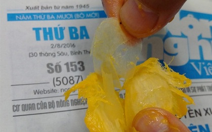 Sự thật về bí ẩn những quả xoài có nylon bọc trong hạt