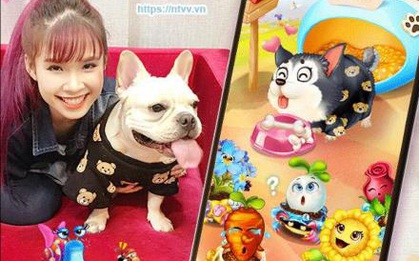 Trào lưu khoe thú cưng thật và ảo “khuấy đảo” cộng đồng mạng