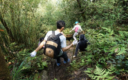 3 đỉnh Tam Đảo: Cung đường trong mơ không thể bỏ lỡ